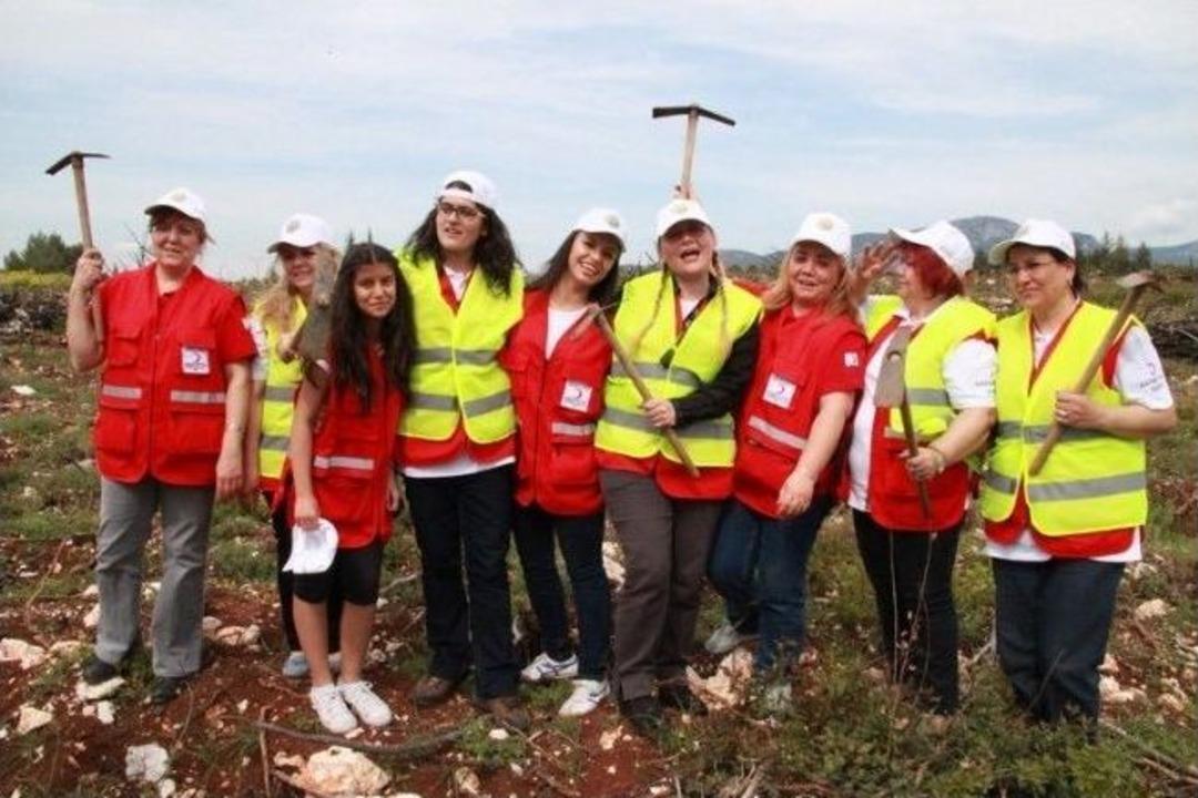 Bakanlık Ve Kızılay Ağa&ccedil;landırma İ&ccedil;in El Ele