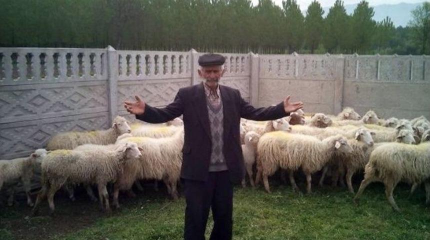 Hayvanları Bulunan Şahıs Jandarmaya Dua Etti