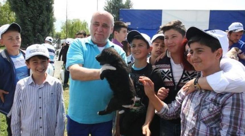 Hayvanlar Sevgi &Ccedil;emberine Alındı