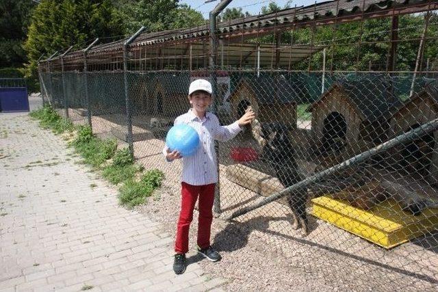 Hayvanlar Sevgi Çemberine Alındı