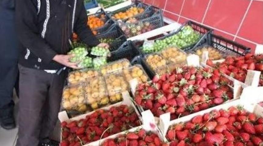 Yeşil Erik Cep Yakıyor