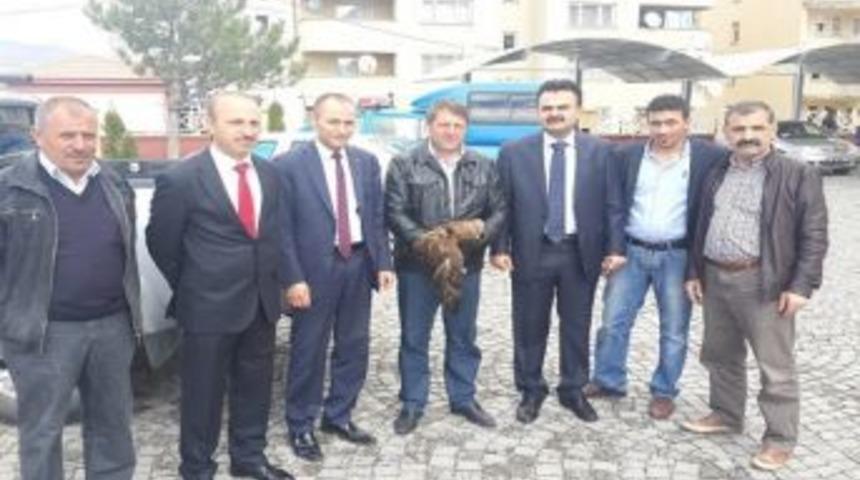 Kelkit&rsquo;te Yaralı Kızıl Şahin Yetkililere Teslim Edildi