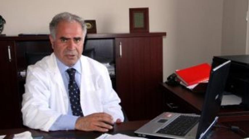 Van Kedilerinde Yavru &Ouml;l&uuml;m Oranı Y&uuml;zde 7&rsquo;lere &Ccedil;ekildi