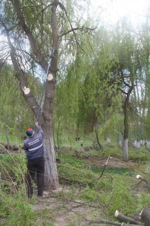 Türbin Mesire Yeri Yaza Hazırlanıyor