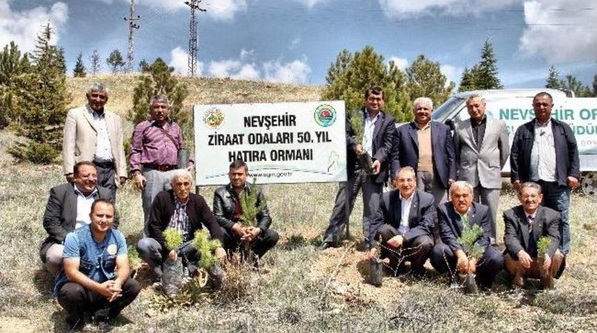 Nevşehir&rsquo;de Ziraat Odaları 50. Yıl Hatıra Ormanı Oluşturuldu