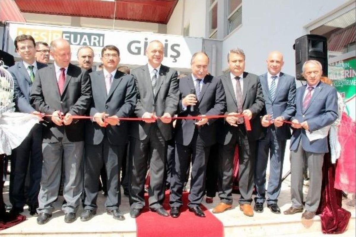Mesir Sanayi Ve Ticaret Fuarı 21'inci Kez Kapılarını A&ccedil;tı