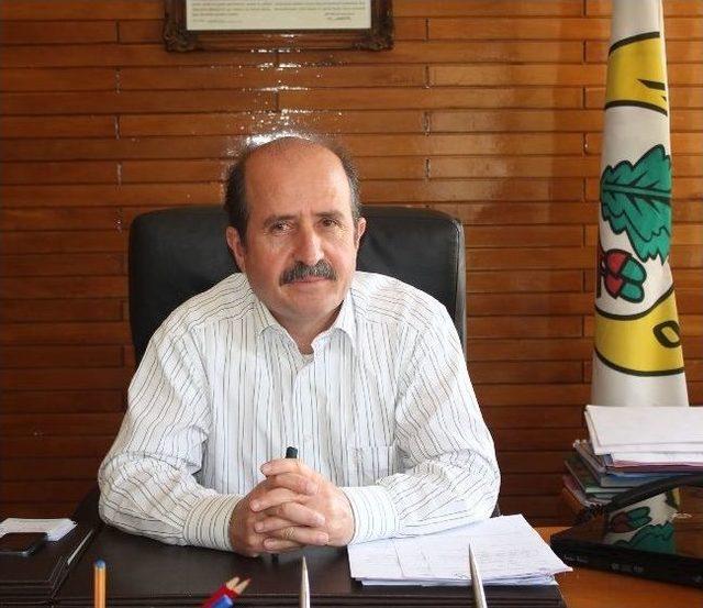 Erken M&uuml;cadele &Ccedil;am Kese Sorununu &Ouml;nledi 1