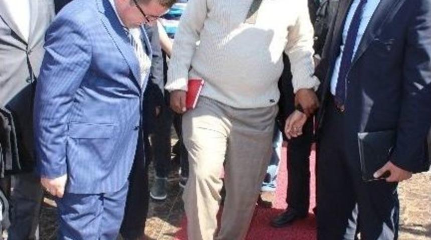 Suudi Arabistanlılar &Ccedil;arşambalı Oldu