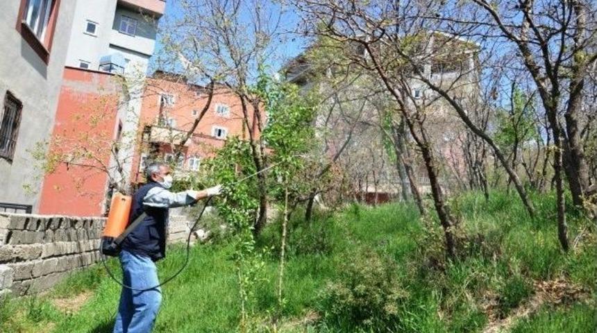 Belediye Park Ve Bah&ccedil;eler M&uuml;d&uuml;rl&uuml;ğ&uuml; Kentin İla&ccedil;lama &Ccedil;alışmalarını Başlattı