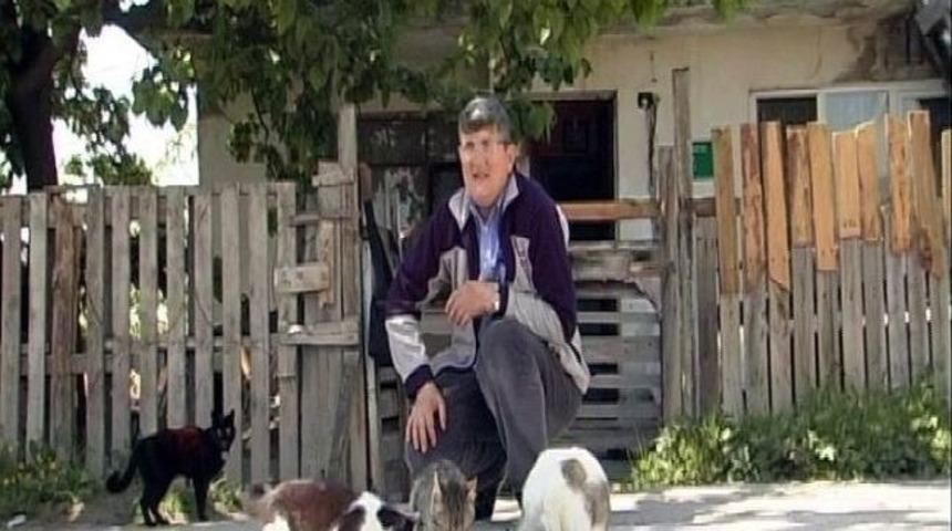 Emekli Maaşıyla 50 Kediye Bakıyorlar