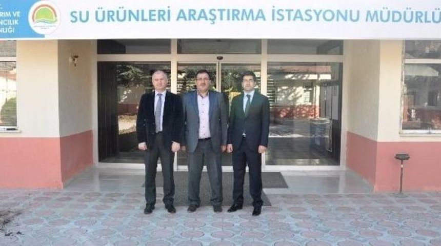 Baka Desteğiyle İhra&ccedil; &Uuml;r&uuml;n&uuml; Kerevite Kulu&ccedil;kahane &Ccedil;&ouml;z&uuml;m&uuml;