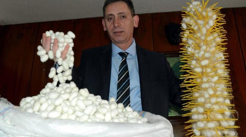 İpekb&ouml;cek&ccedil;iliğine Olumsuz Hava Koşulları Darbesi