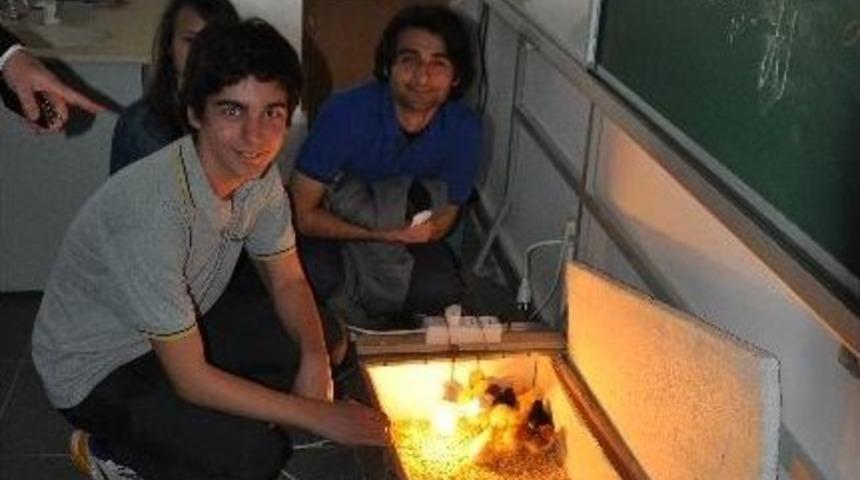 &Ouml;ğrenciler Kulu&ccedil;ka Makinesi Yaptı