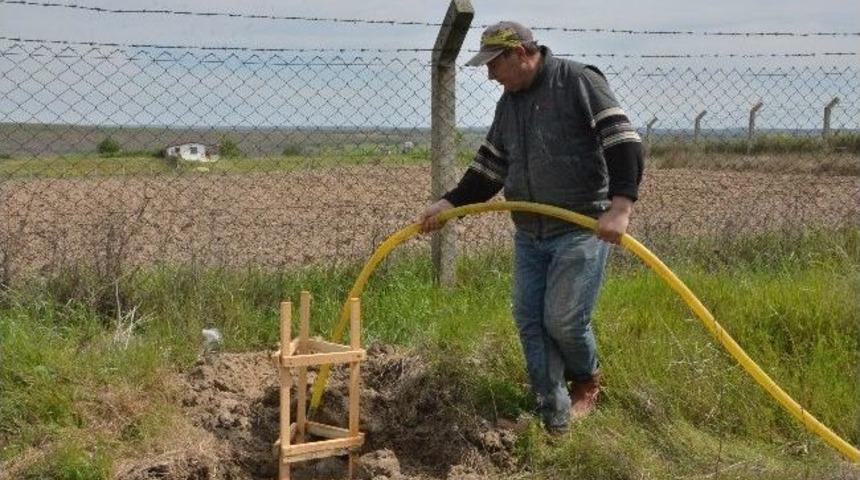 Daha Yeşil Bir Kapaklı İ&ccedil;in 10 Bin Ağa&ccedil; Fidanı Dikildi
