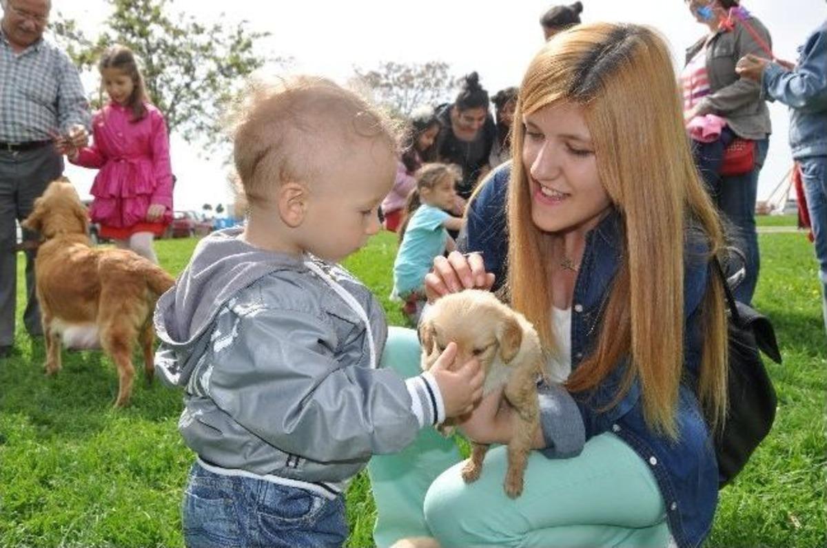 (&ouml;zel Haber) 23 Nisan Kutlamaları Sırasında Yavru K&ouml;pekler İlgi Odağı Oldu