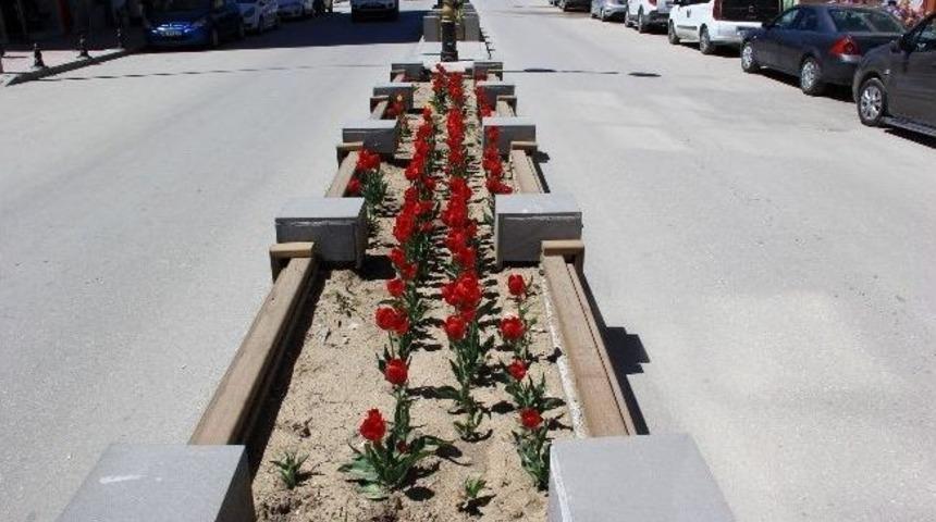 Van &Ccedil;i&ccedil;ek A&ccedil;tı
