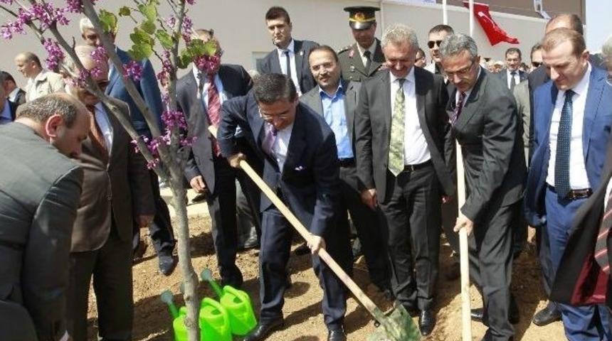 Gebze&rsquo;de Şehitlerin Adı Fidanlarda Yaşatılıyor