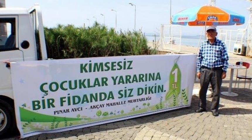 Kimsesiz &Ccedil;ocuklara Yardım İ&ccedil;in Fidan Sattılar