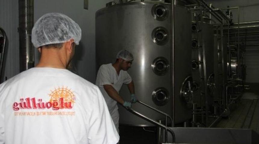 Baklavacı G&uuml;ll&uuml;oğlu, Tecr&uuml;besini, S&uuml;t Sekt&ouml;r&uuml;ne Taşıyor