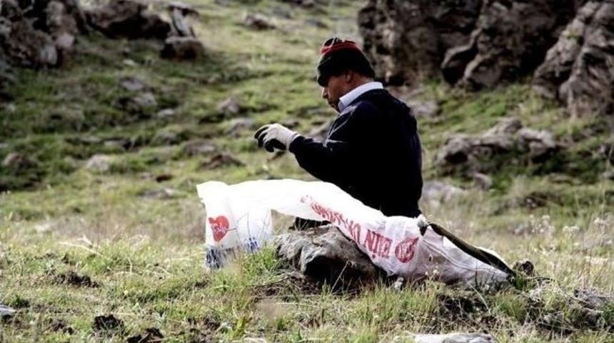 K&ouml;yl&uuml;ler Pancar Toplamak İ&ccedil;in 2 Bin 500 Metreye Tırmanıyor