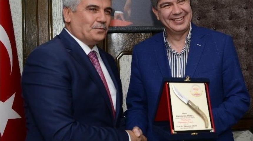 Başkan T&uuml;rel, "kolları Sıvayıp &Ccedil;alışmalara Başladık"