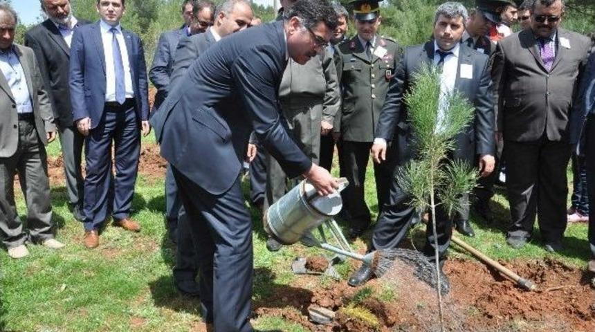 Dursunbey'de Jandarmadan 175. Yıl Ormanı