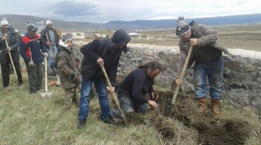 23 Nisan'da Fidan Diktiler