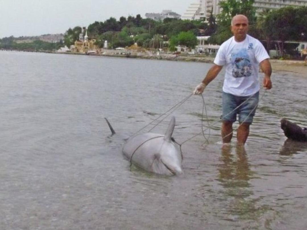 Kuşadası&rsquo;nda &Ouml;l&uuml; Bir Yunus Karaya Vurdu