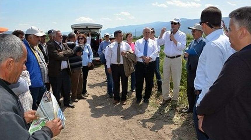 Nazilli’de ‘hilal Arpa Ve Diğer Yem Bitkisi Türlerinin Tanıtımı’ Tarla Günü İle Yapıldı