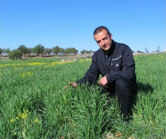 Nisan Yağmurları &Ccedil;ift&ccedil;inin Y&uuml;z&uuml;n&uuml; G&uuml;ld&uuml;rd&uuml; 1