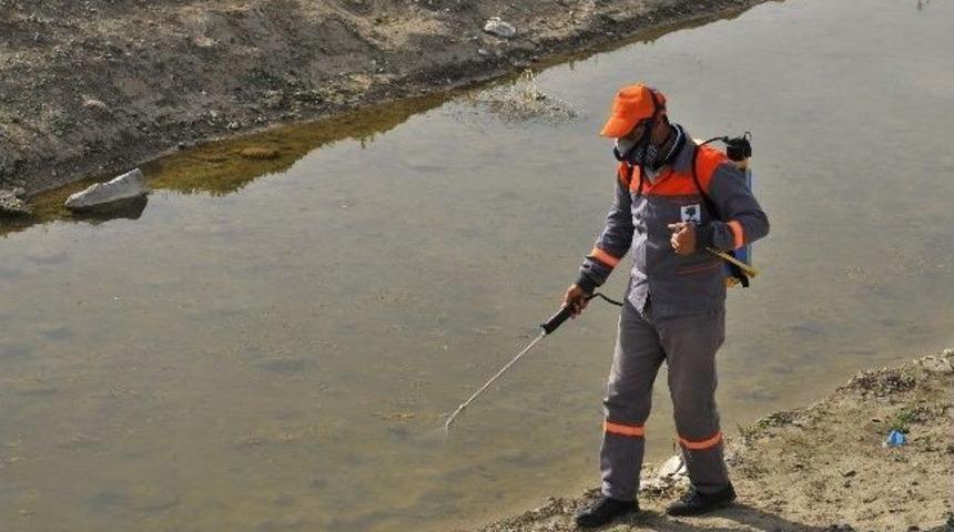 Mamak'ta Larva Ve Haşereyle M&uuml;cadele Başladı