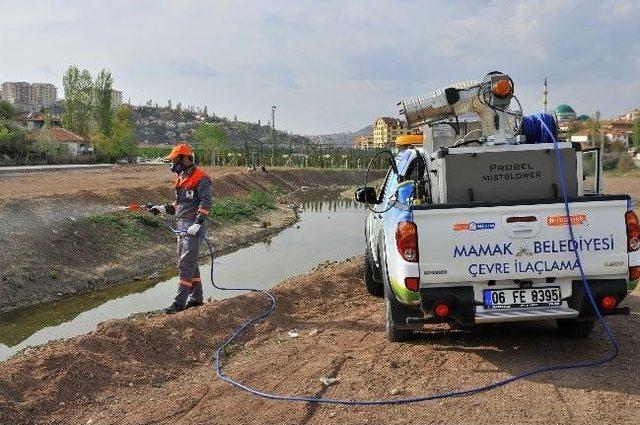 Mamak ta Larva Ve Haşereyle M&uuml;cadele Başladı 1