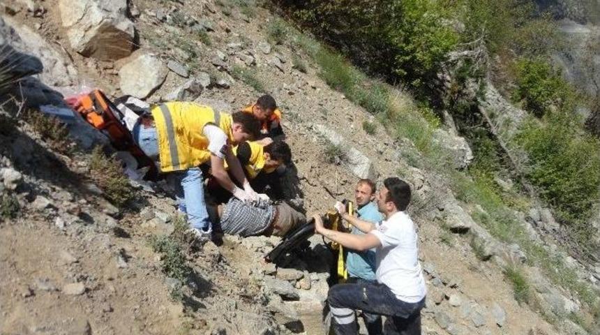 &Ccedil;aşur Toplarken Canından Oldu