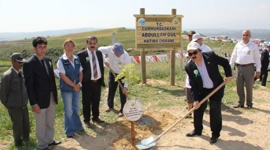 Cumhurbaşkanı G&uuml;l Adına 11 Bin Fidan