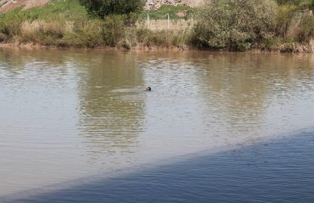 Balıkadamlar Dicle Nehri&rsquo;nde Su&ccedil; Aleti Aradı