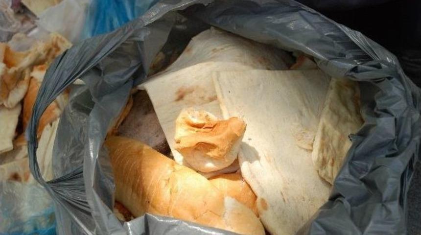 &Ccedil;&ouml;pten Topladığı Ekmekleri Satarak Ailesinin Ge&ccedil;imini Sağlıyor