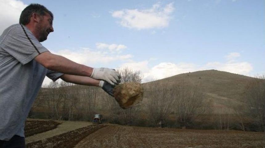 Yozgatlı &Ccedil;ift&ccedil;iler Toplama Makinesi İstiyor
