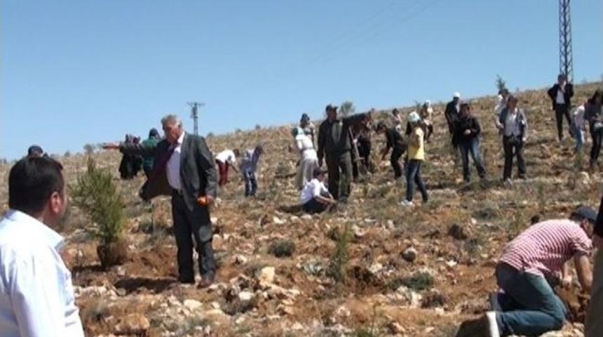 Elazığ'da 500 Fidan Toprakla Buluştu