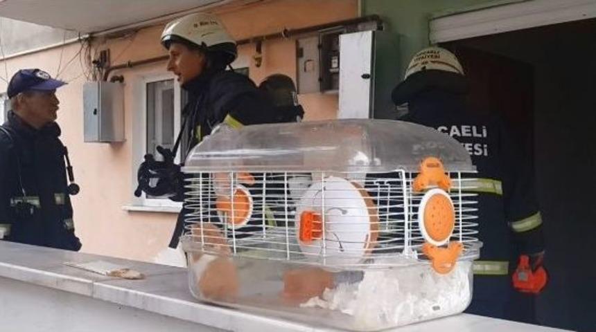 Bulaşık Makinesi Evi Yakıyordu