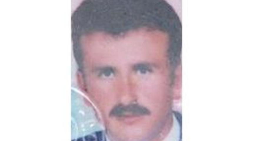 Kestiği Ağacın Altında Kaldı