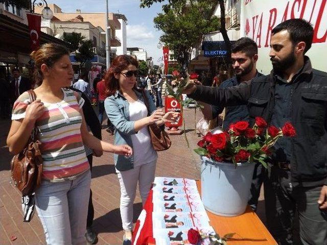 Nazilli Alperen Ocağı 3 Bin Kırmızı Gül Dağıttı