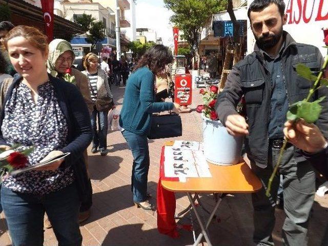 Nazilli Alperen Ocağı 3 Bin Kırmızı Gül Dağıttı