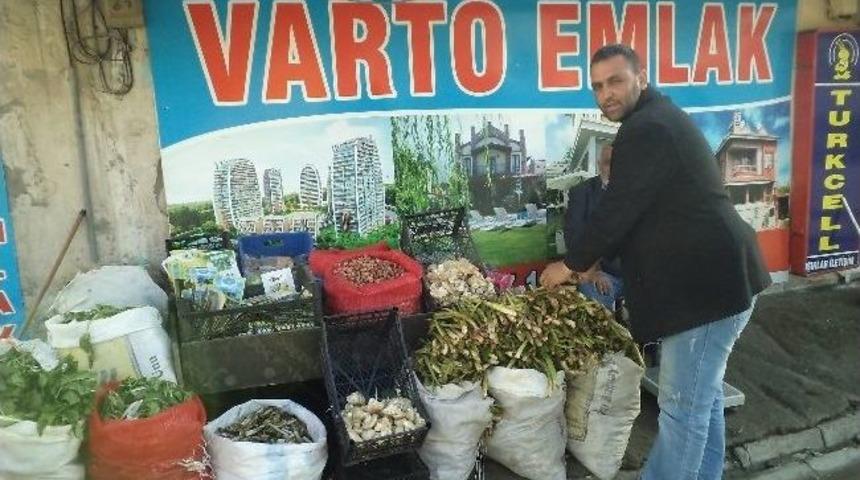 Dağda Topladığı Bitki Ge&ccedil;im Kaynağı Oldu