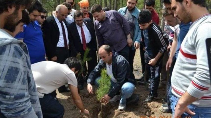 Bilecik&rsquo;te Fidan Dikimi Etkinliği