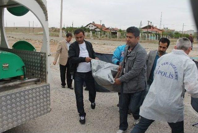 Yol Kenarında Bıçakla Öldürülmüş Kadın Cesedi Bulundu