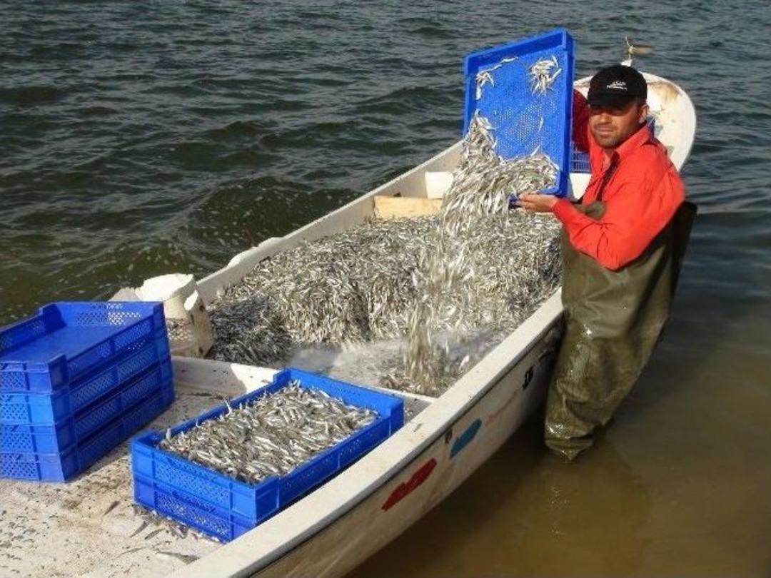 Anadolu'nun Bozkırından Avrupa'ya Balık İhracı