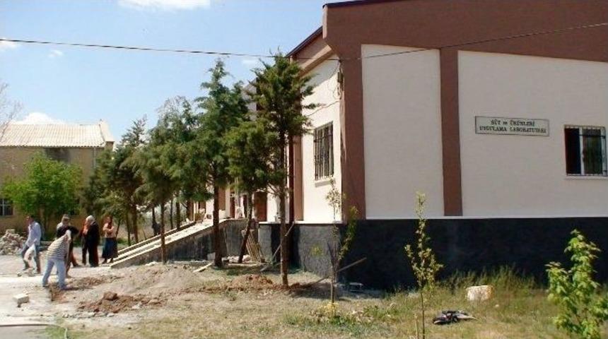 As&uuml; Ve Dssyb&rsquo;den S&uuml;t Analiz Laboratuvarı