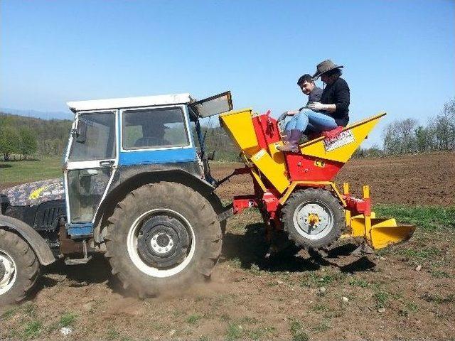 Makineli Patates Ekimi Başladı