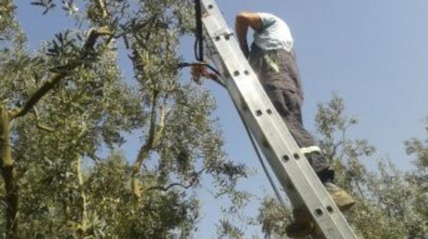 Kablo Hırsızları Aynı K&ouml;yleri Yine Telefonsuz Bıraktı