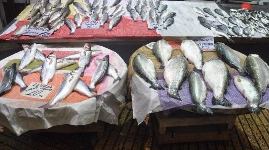 Zonguldaklı Balık&ccedil;ılar, Sezonundan Umduğunu Bulamadı